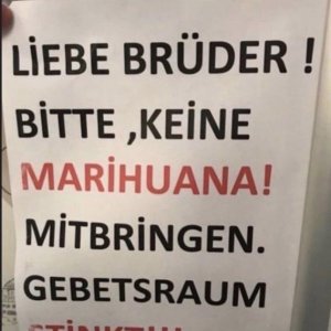 Ok Bruder