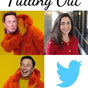 Muskus Interruptus