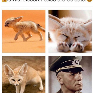 128101567_2679436222370727_8724377346842636918_n.png