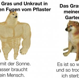 Könnte ich immer ausrasten