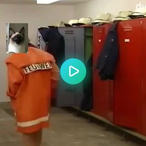 Einbruch in die RDW-Zentrale