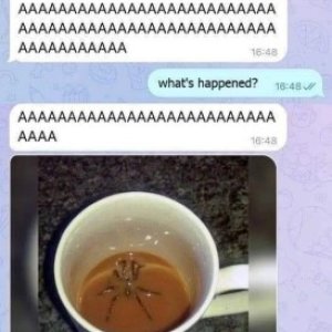 AAAAAAAAAAAAAAAAAAAAAAAAAAAAAAAA