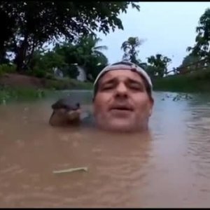 Der Otten wieder