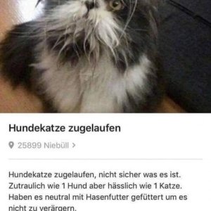 LOL, DER... ääh... Hunt...!?