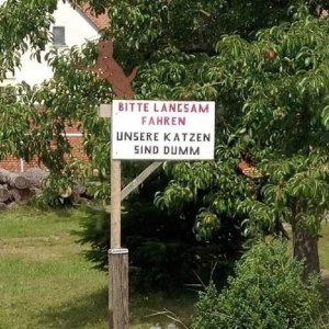 Nur eure?