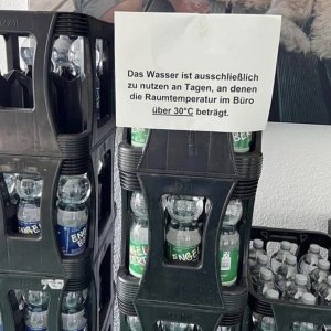 Zu gütig!