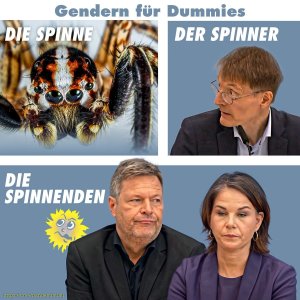 Gendert ihr ned?