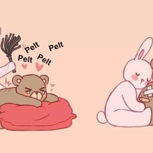 pelt-pelt.jpg