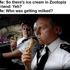 Die Milchrealisation