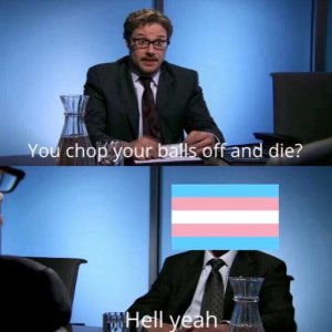 41%