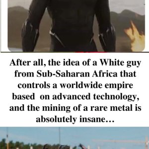 Pinker Panther > Schwarze Panther