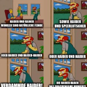 Scheiß Haider aller