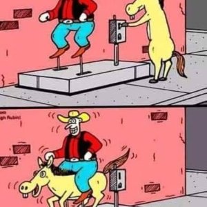 Pferdeunterhaltung