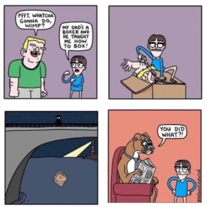 Box, Boxer, Boxing
