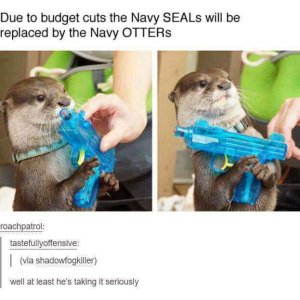 NavyOtten.jpg