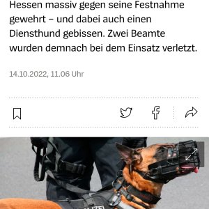 Werd Hund du Mann