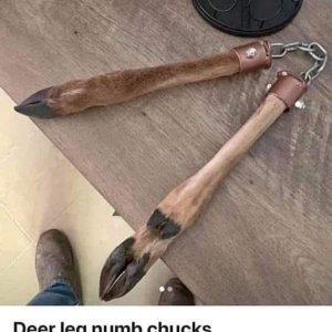 Für den Naturverbundenen Ninja
