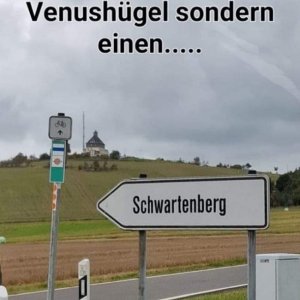 In ihr Genital will kein Männeraal