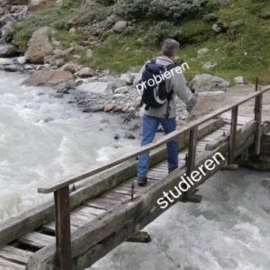 Stumpf ist Trumpf