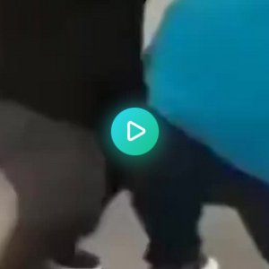 Fettsäcke "Prügeln" sich