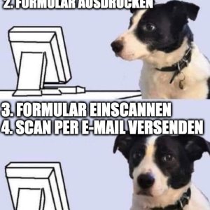 Deutsche Behörden in einer Nussschale