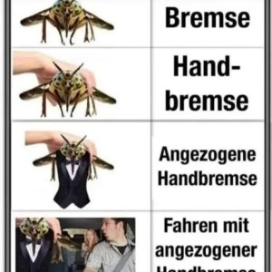 Immer diese Fahranfänger