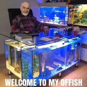 Oh, Fisch