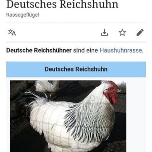 Reichshuhn.jpg
