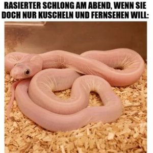 Sssss wann geht es endlich los?