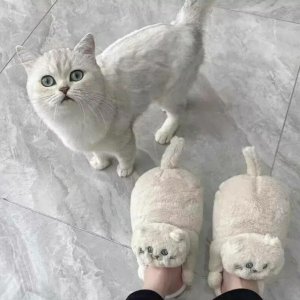 Wotzefak?