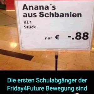 XD