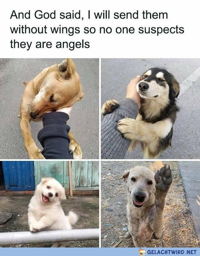 Aaaaw