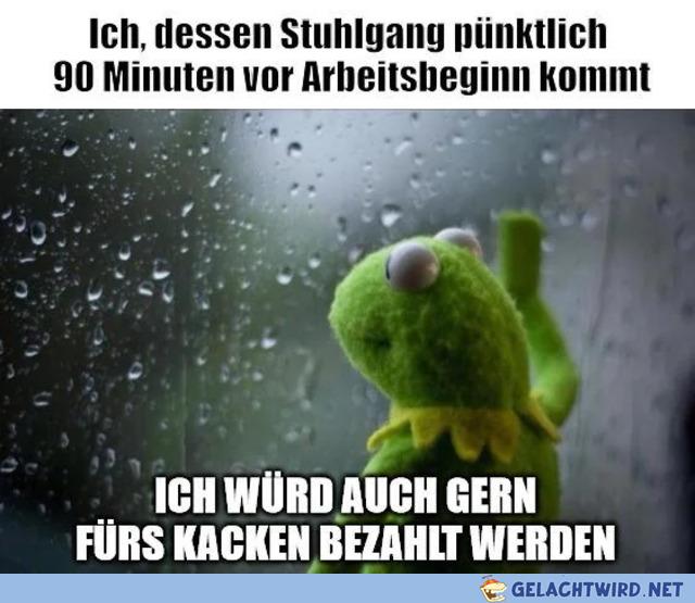 Anfänger