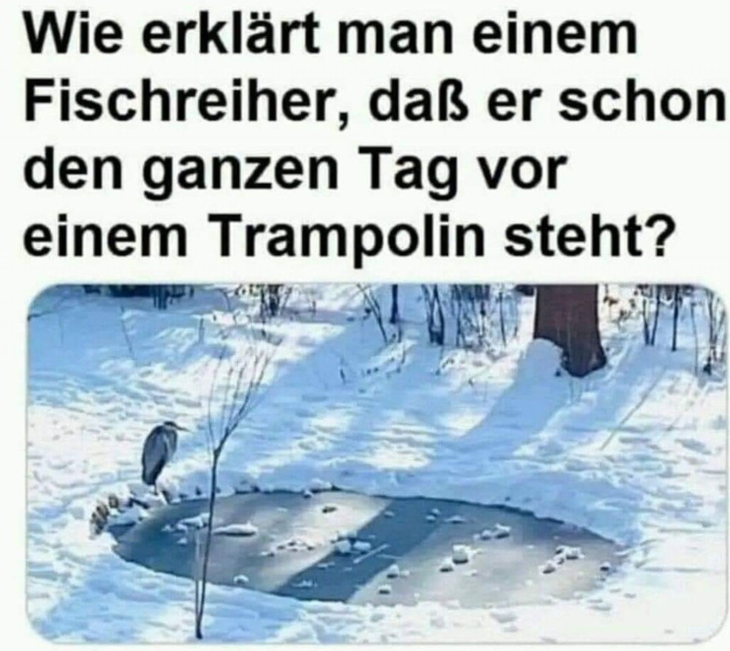 Armer Bördi