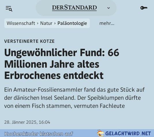 Bernstein mit Bröckchen
