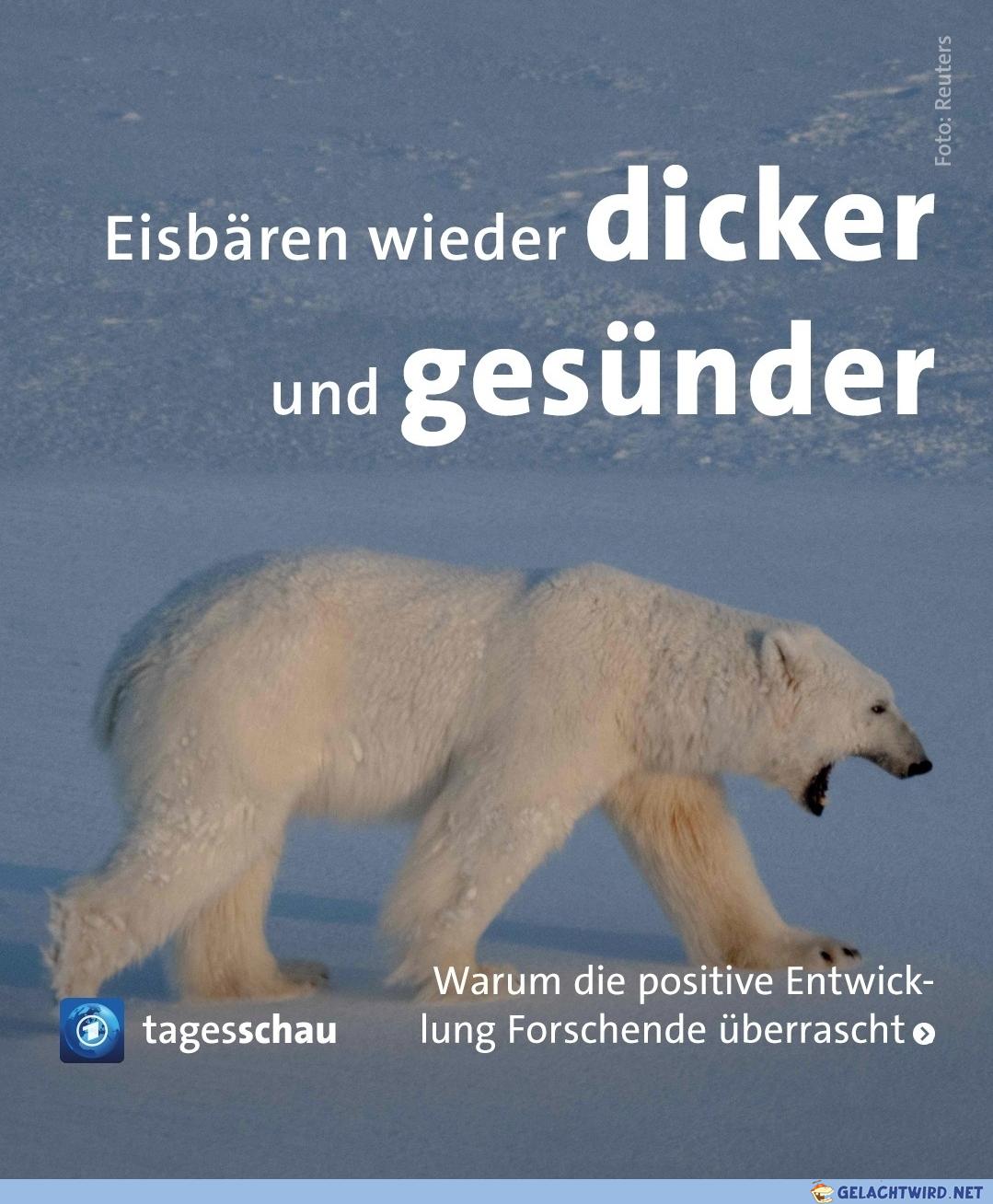 Brechende Neus