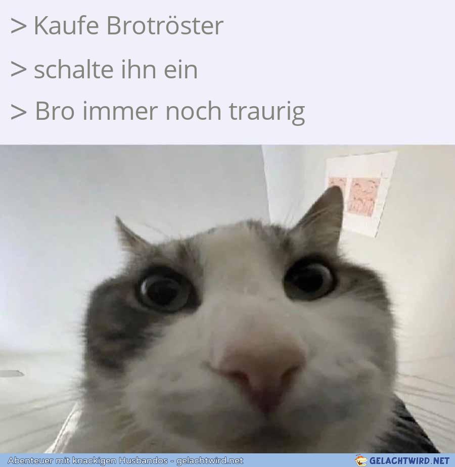 Brotröster