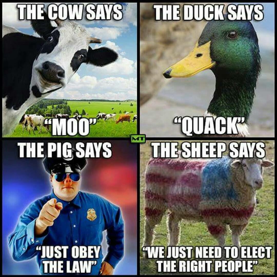 BSK sagt pieks