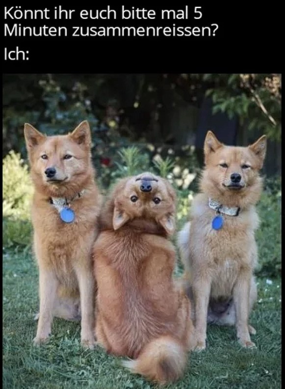 Der HUNT!!!111einself