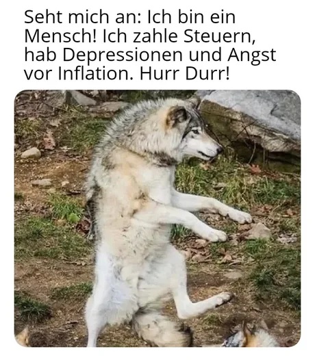 derMänsch!!!111einself