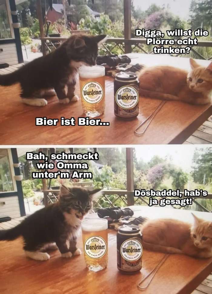 Die-einzig-wahre-Plörre