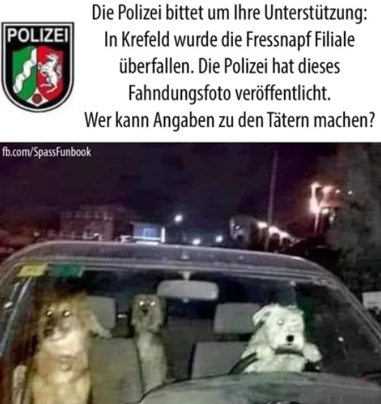DIE HUNTE!!!!!!!111einself