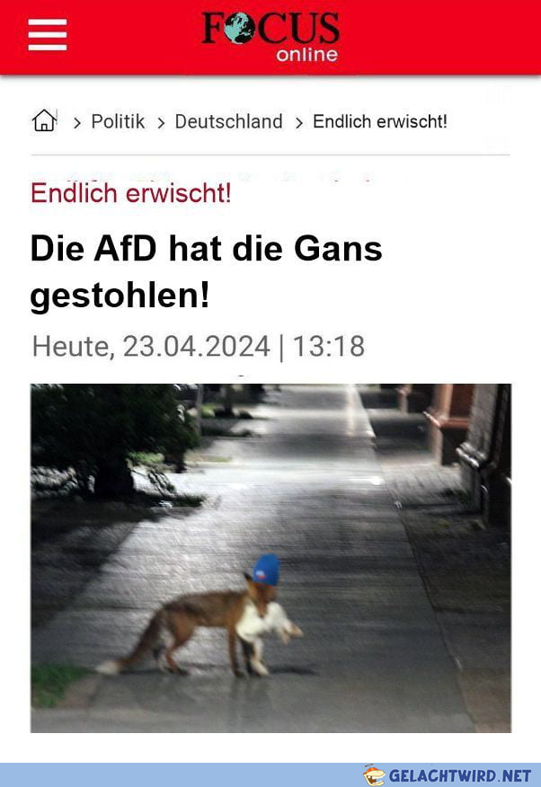 Die Sache spitzt sich weiter zu