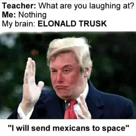 elonald trusk