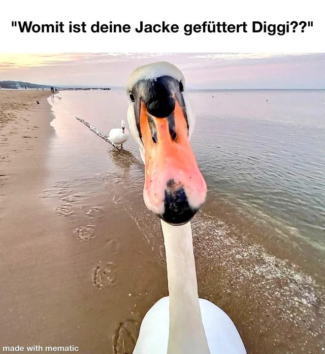 Erzähl mal!