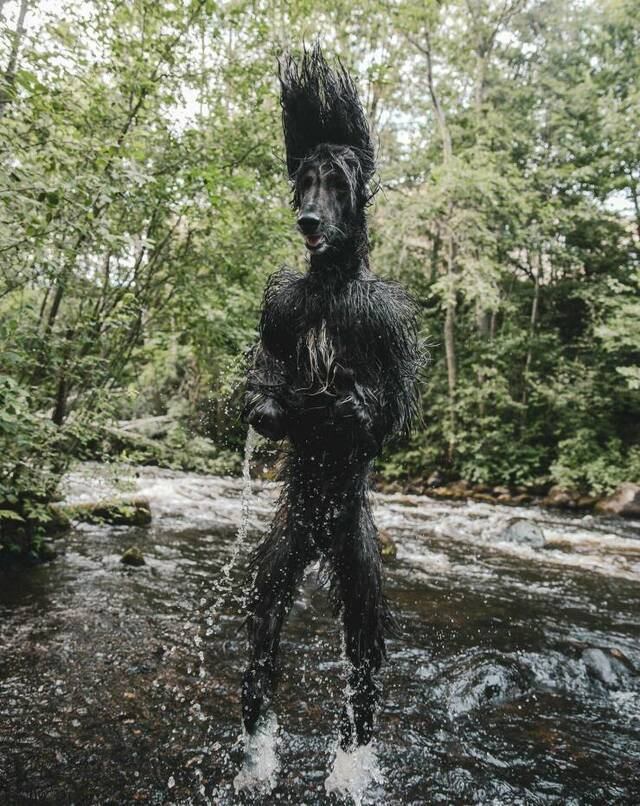 Fabelwesen