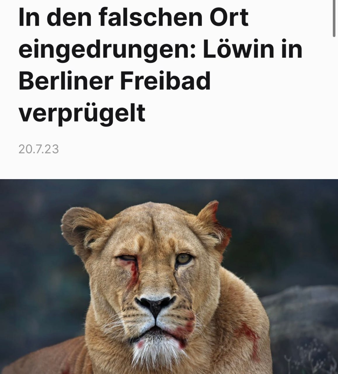 Freibadwoche