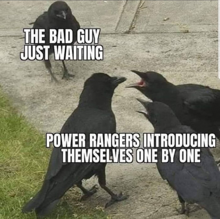 Go Go Bauer Rangers