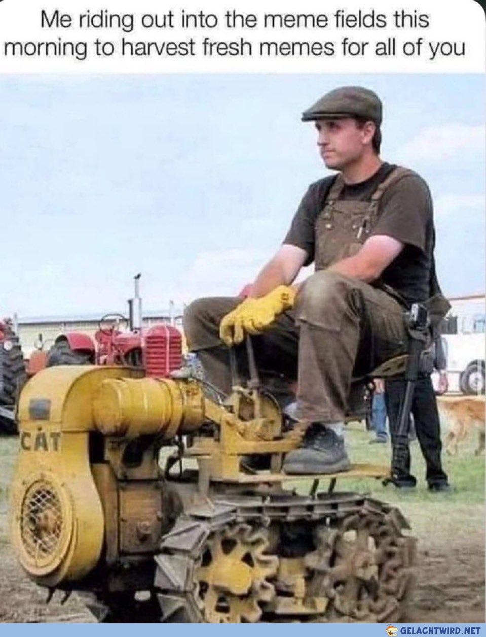 Harvesting memes