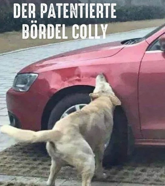 Ja top